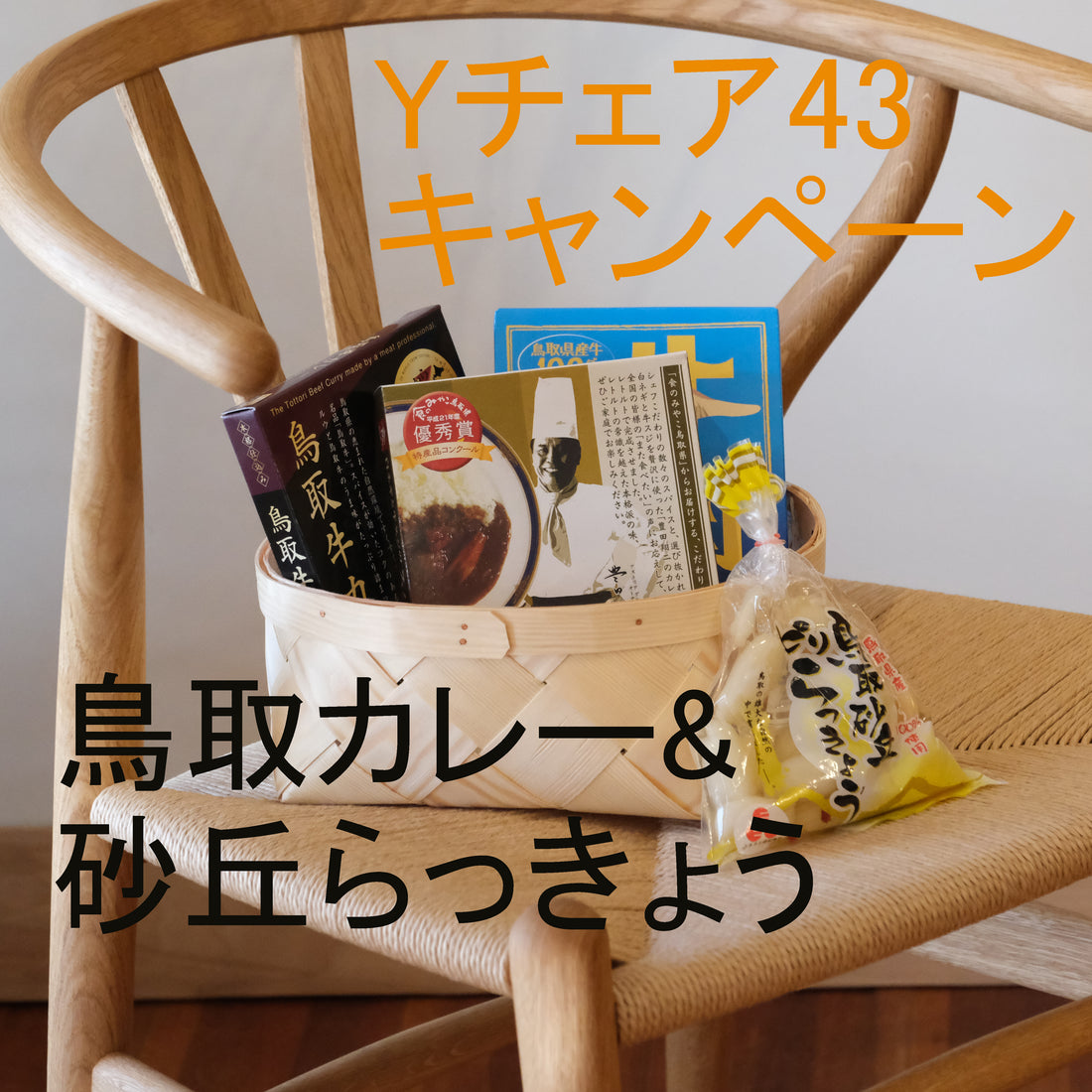 Yチェア43キャンペーンについて
